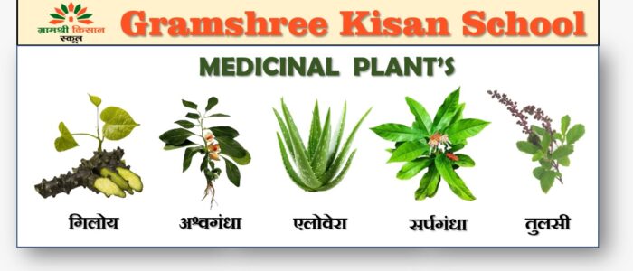 WhatsApp Image 2025-11-25 at 13.24.53_70bed02b